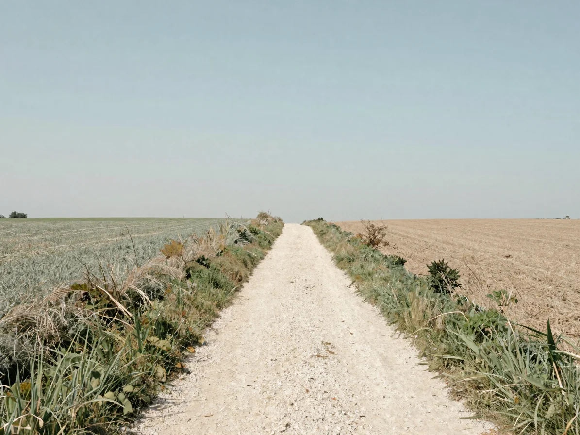 Editorial travel photograph of a narrow chalk path through fields