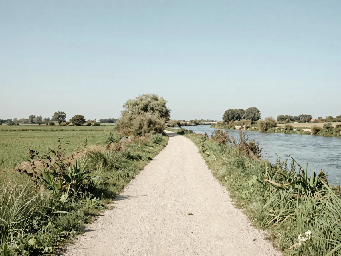 Wide view of a riverbank path winding through meadows and hedgero